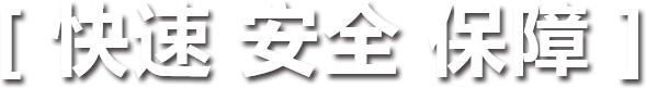 快速 安全 保障